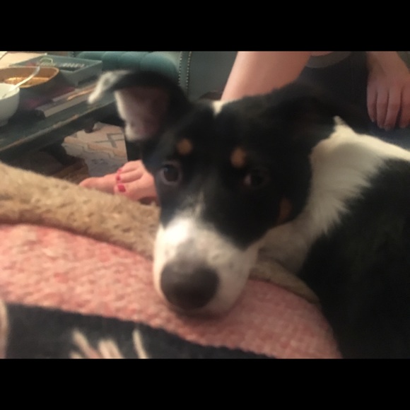 Meet your Posher, Caroline - Picture 1 of 1